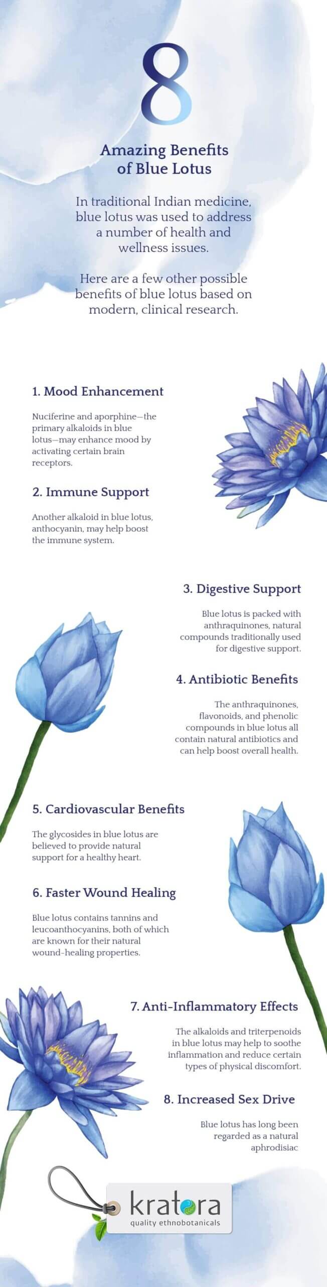 Infographic of Benefits of Blue Lotus
