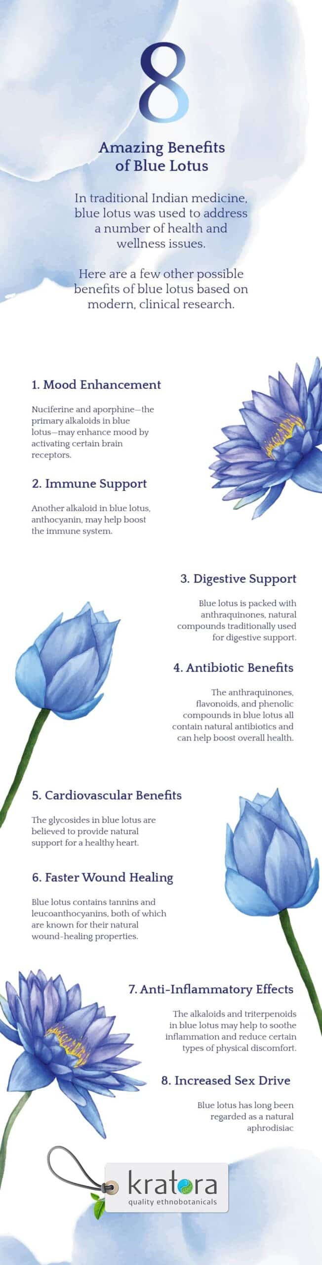 Blue Lotus Benefits That May Surprise You Shop Kratora 6201