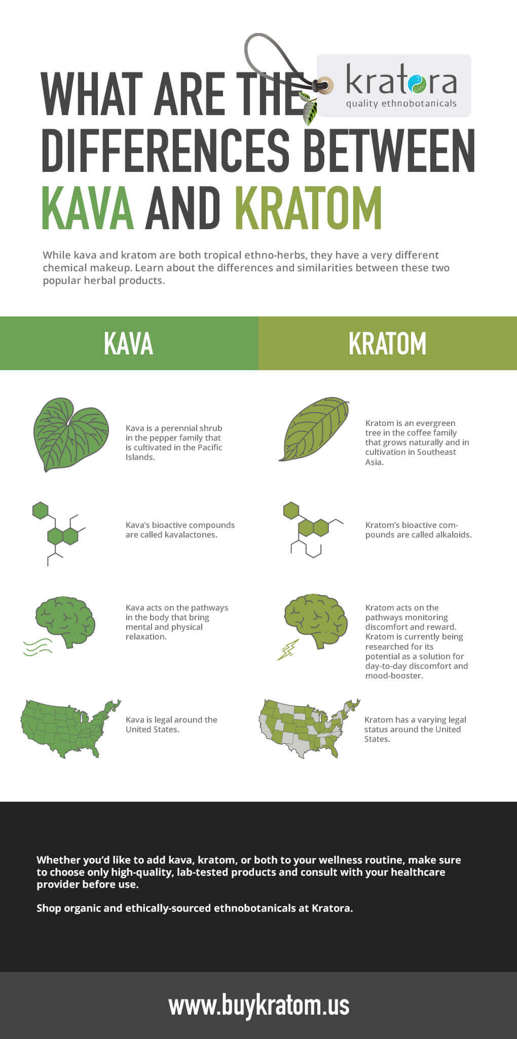 differences-between-kava-and-katom
