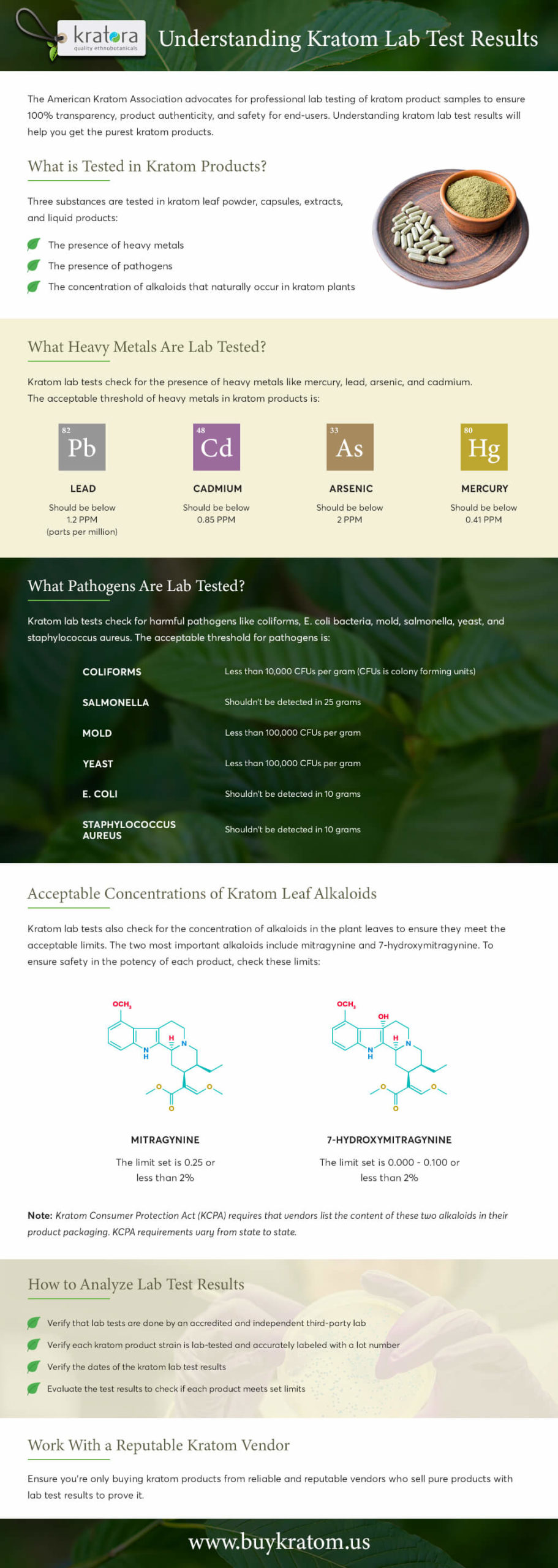 Infographic about kratom lab testing, including testing procedures and the contaminants tested for. 