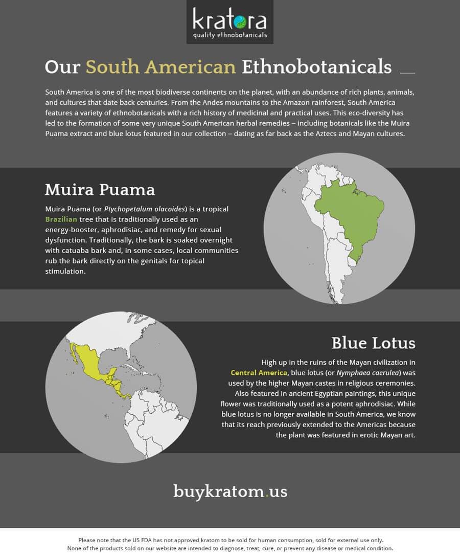Infographic_WhereOurEthnobotanicalsComeFrom_SouthAmerica_Kratora_V1R