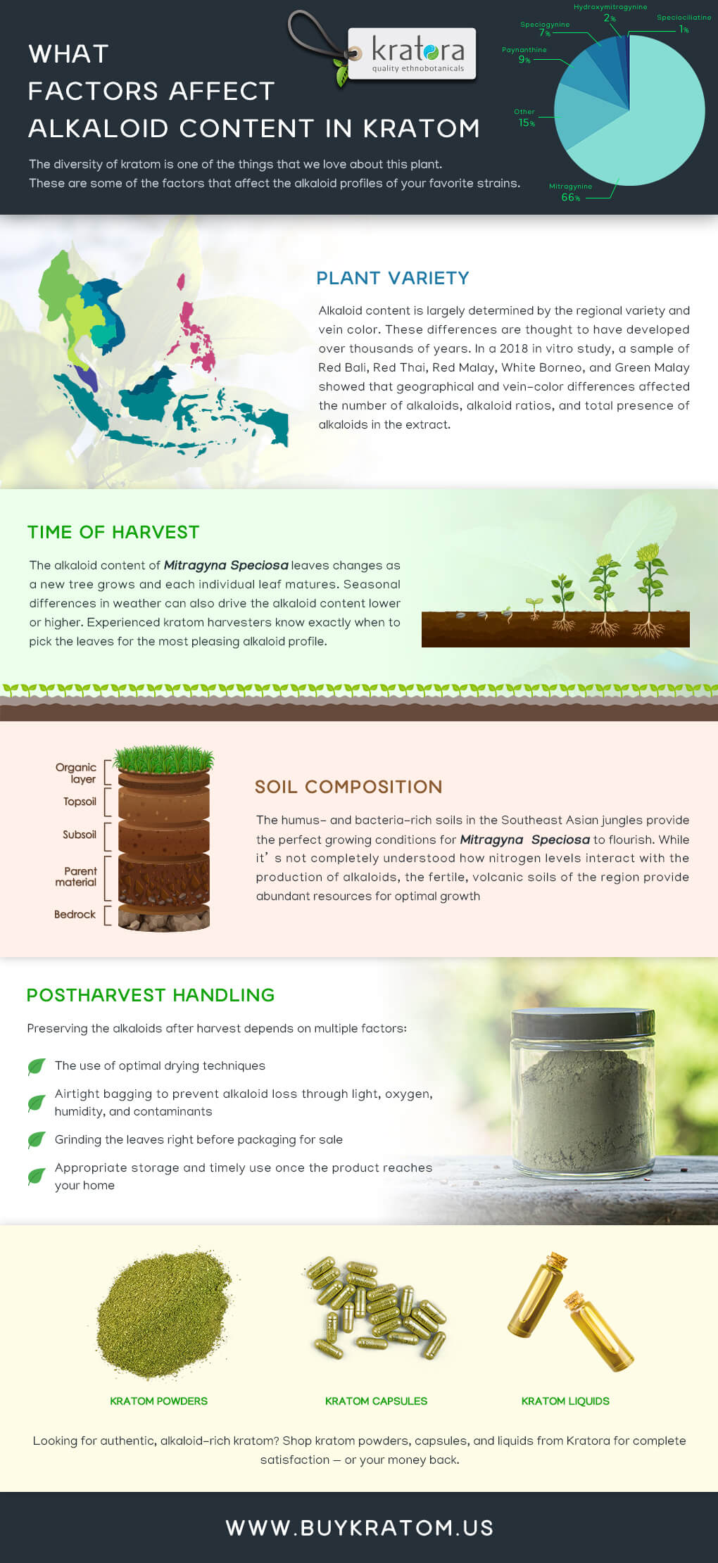 Infographic about the factors that affect alkaloid concentrations in kratom. 