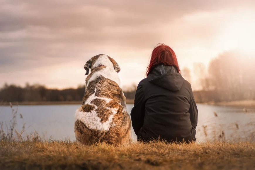 A woman and dog sitting side by side, looking out over a lake.