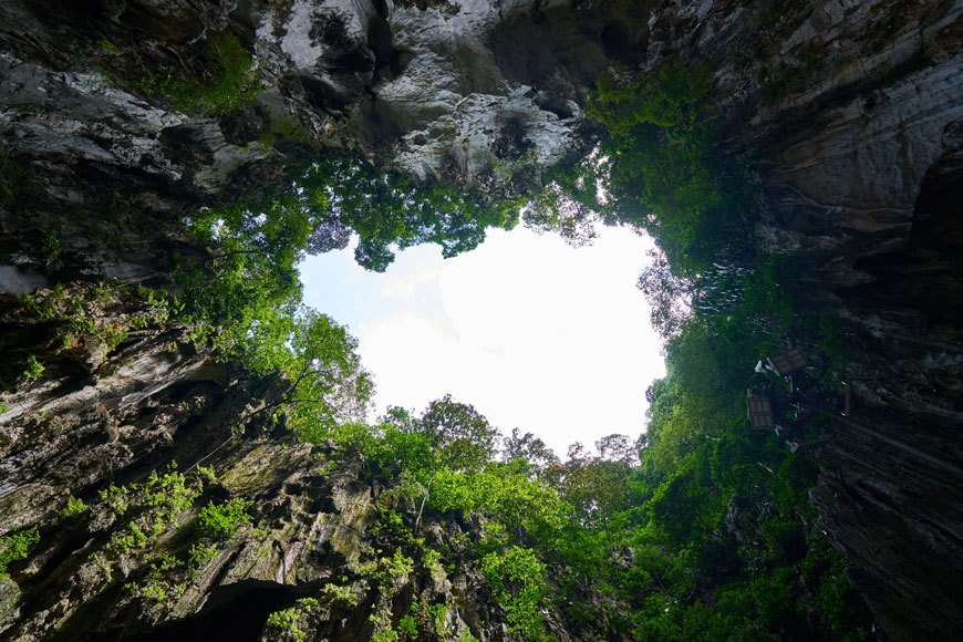 The Inside of a Tropical Cave