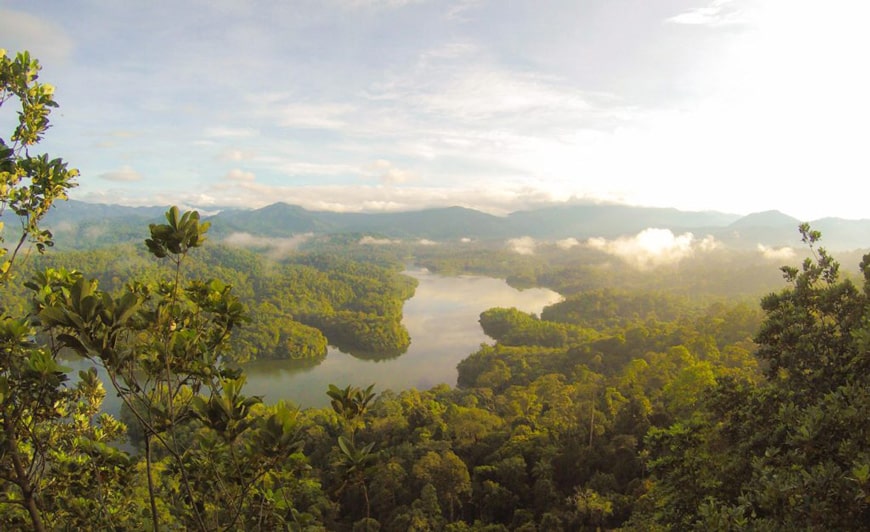 A river winding through the lush Malaysian rainforest.