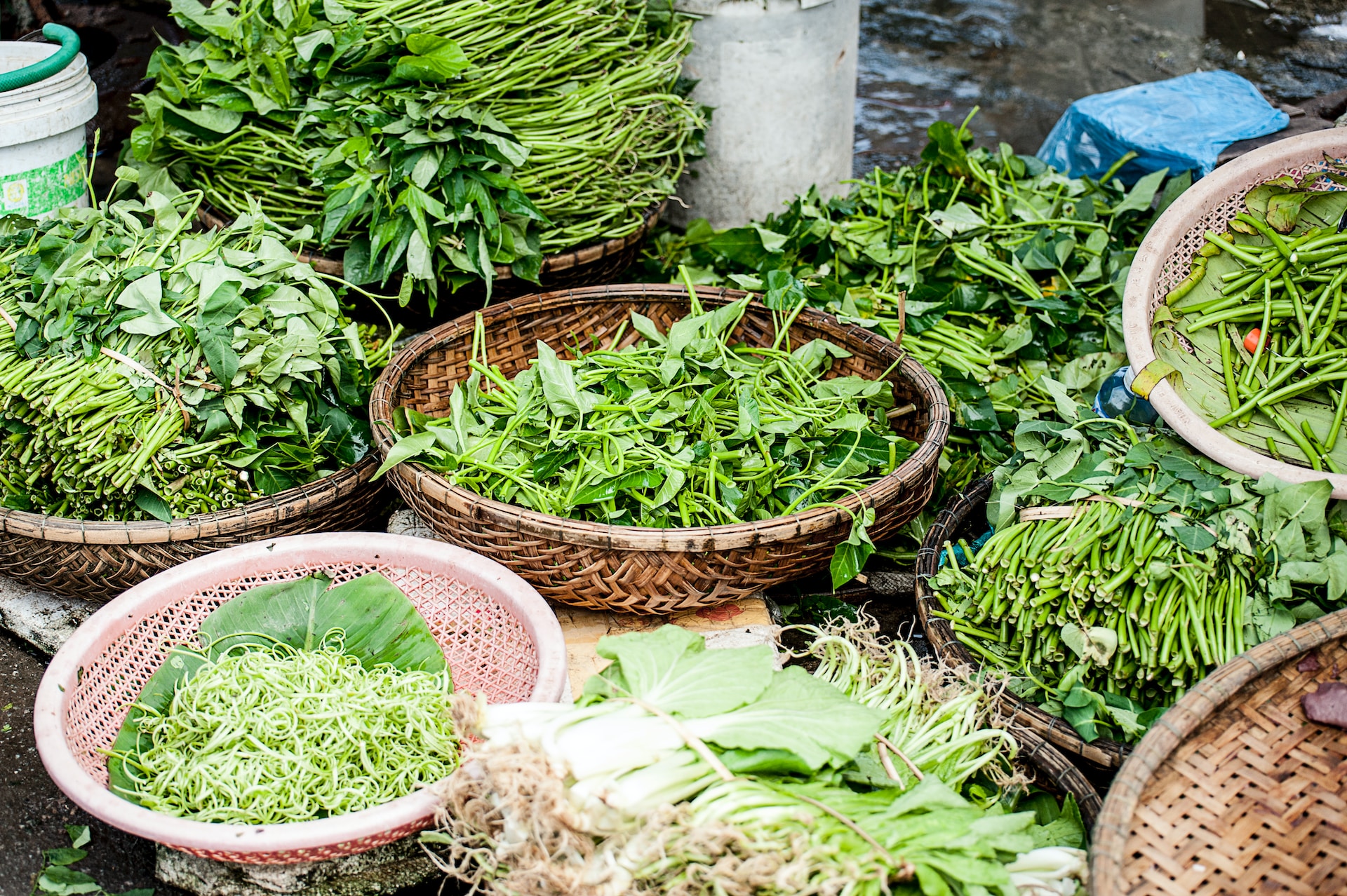 fresh green herbs in baskets at a market