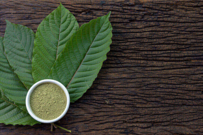 Fresh kratom leaves and powder set against a wooden surface