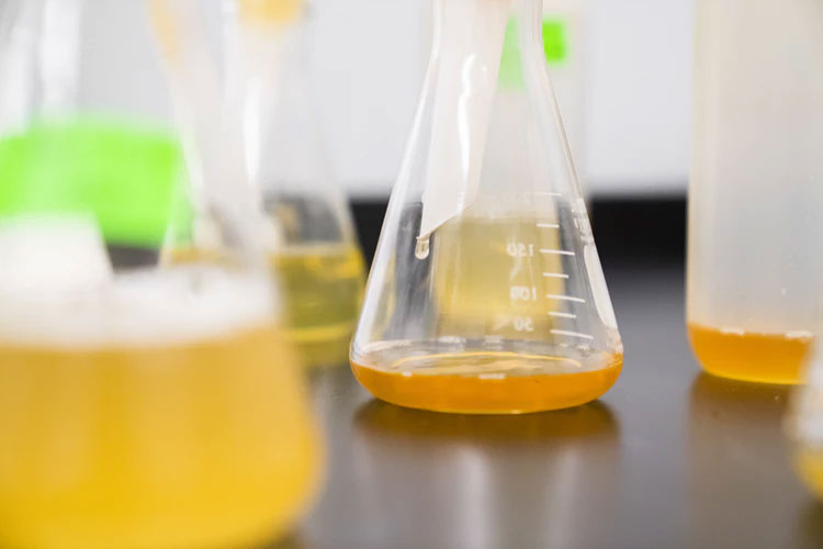 Glass, chemistry beakers full of an orange liquid