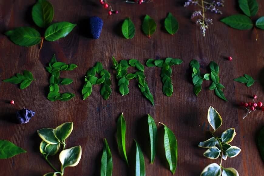 The word “EARTH” spelled out with leaves and surrounded by plant