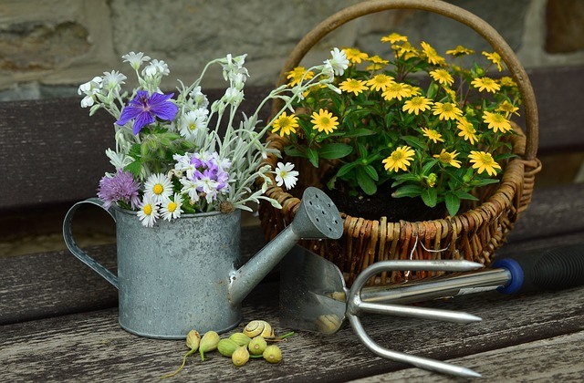 Assorted flowers inside of a watering can and wicker basket surrounded by gardening tools. 
