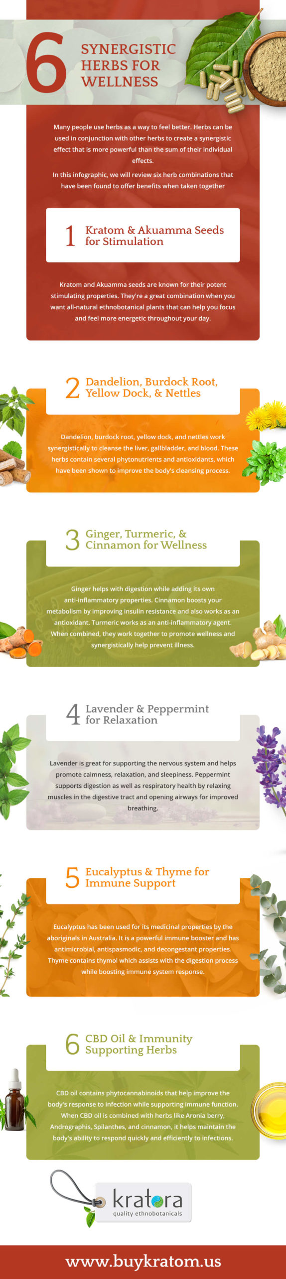 6 Synergies Herbs for Wellness Kratora