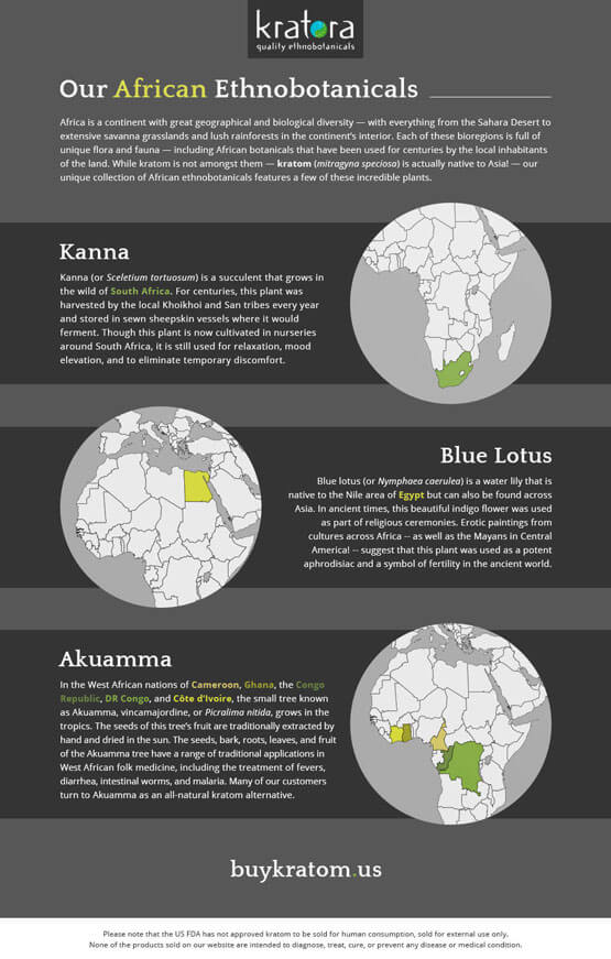 Where Our Ethnobotanicals Come From Infographic