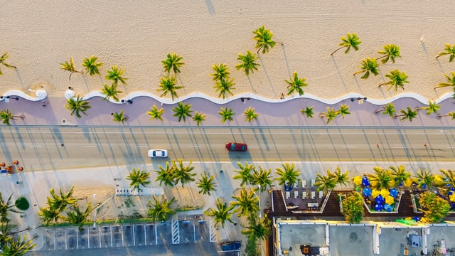 Aerial shot of a palm-tree lined street in Florida