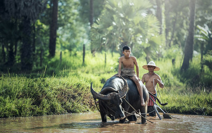 A young Cambodian man riding a buffalo through the river with another man behind.
